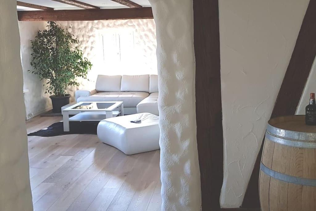 3 Bedroom Swiss House On 3 Floors Oberglatt Zewnętrze zdjęcie